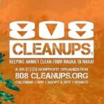 808 CLEANUPS